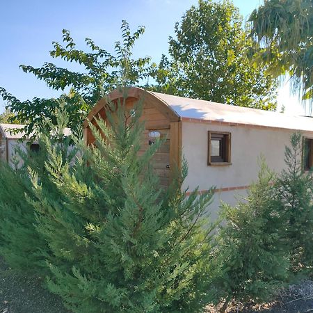 Finca Alarcos Valverde  外观 照片
